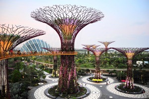 Gardens by the Bay at dusk